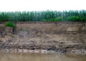 corn.cliff